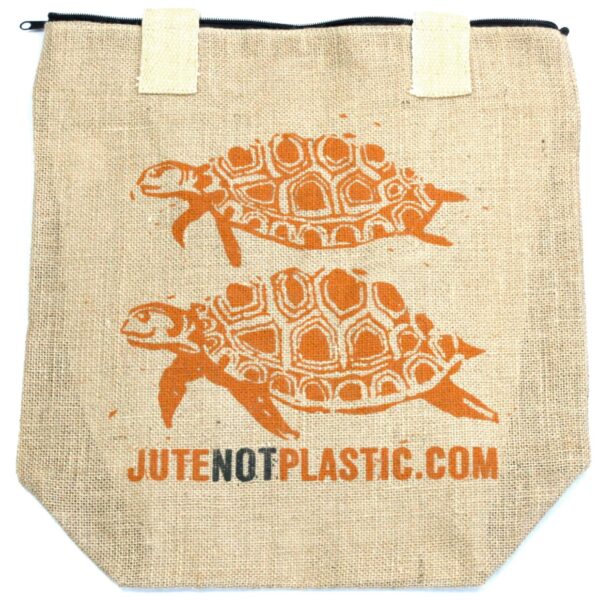 Two Turtles-2