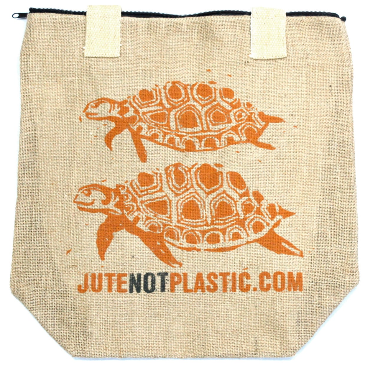 Two Turtles-2