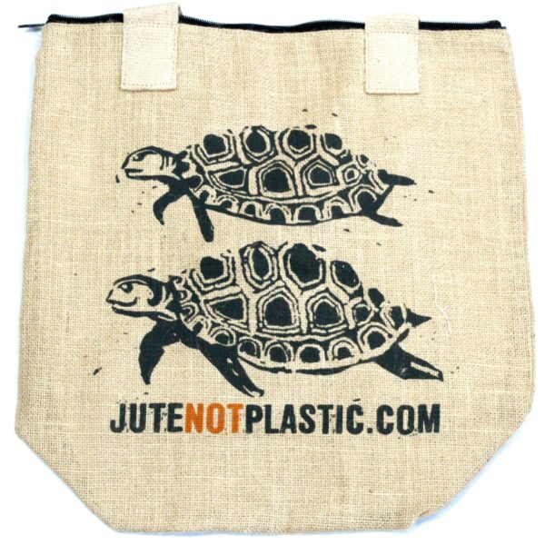 Two Turtles-3