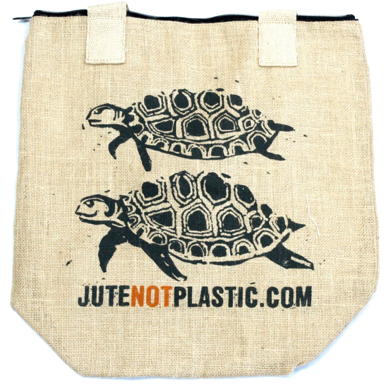 Two Turtles-3